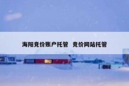 海阳竞价账户托管  竞价网站托管