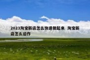 2023淘宝新店怎么快速做起来  淘宝新店怎么运作