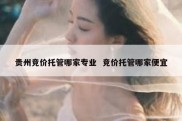 贵州竞价托管哪家专业  竞价托管哪家便宜