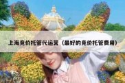 上海竞价托管代运营（最好的竞价托管费用）