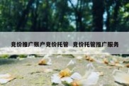 竞价推广账户竞价托管  竞价托管推广服务