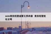 sem竞价托管运营工作内容  竞价托管优化公司