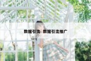 数据引流  数据引流推广