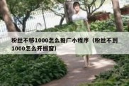 粉丝不够1000怎么推广小程序（粉丝不到1000怎么开橱窗）