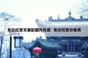 竞价托管文案配图片伤感  竞价托管价格表