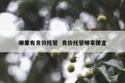 哪里有竞价托管  竞价托管哪家便宜