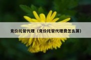 竞价托管代理（竞价托管代理费怎么算）