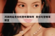 河源网站竞价托管效果如何  竞价托管哪家便宜