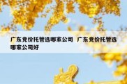广东竞价托管选哪家公司  广东竞价托管选哪家公司好
