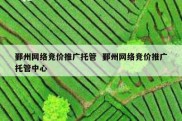 鄞州网络竞价推广托管  鄞州网络竞价推广托管中心