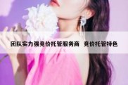 团队实力强竞价托管服务商  竞价托管特色