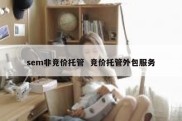 sem非竞价托管  竞价托管外包服务