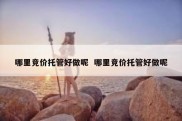 哪里竞价托管好做呢  哪里竞价托管好做呢