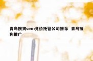 青岛搜狗sem竞价托管公司推荐  青岛搜狗推广