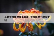 东莞竞价托管哪家好用  竞价托管一般多少钱