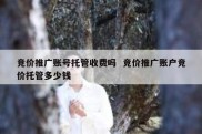 竞价推广账号托管收费吗  竞价推广账户竞价托管多少钱