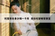 托管竞价多少钱一个月  竞价托管哪家便宜