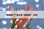 网络推广广告公司（网络推广 公司）