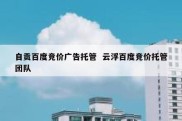 自贡百度竞价广告托管  云浮百度竞价托管团队