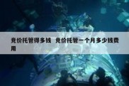 竞价托管得多钱  竞价托管一个月多少钱费用