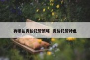 有哪些竞价托管策略  竞价托管特色