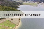 河源账户竞价托管案例  竞价托管哪家便宜