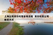 上海公司竞价托管业务流程  竞价托管公司联系方式