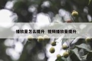 播放量怎么提升  视频播放量提升