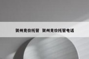 贺州竞价托管  贺州竞价托管电话