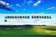 口碑好的竞价账号托管  竞价账号托管怎么样