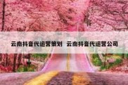 云南抖音代运营策划  云南抖音代运营公司