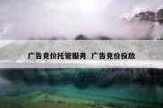 广告竞价托管服务  广告竞价投放