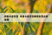 抖音小店引流  抖音小店引流微信会怎么样处理