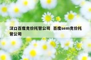 汉口百度竞价托管公司  百度sem竞价托管公司