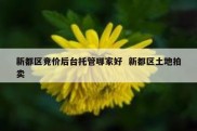 新都区竞价后台托管哪家好  新都区土地拍卖