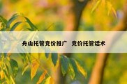 舟山托管竞价推广  竞价托管话术