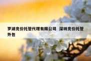 罗湖竞价托管代理有限公司  深圳竞价托管外包