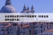 企业矩阵运营1000个抖音账号（抖音企业矩阵运营方案）