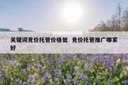 关键词竞价托管价格低  竞价托管推广哪家好