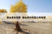 保山竞价托管  保山竞价托管公司电话