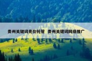 贵州关键词竞价托管  贵州关键词网络推广