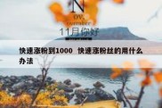快速涨粉到1000  快速涨粉丝的用什么办法