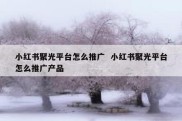 小红书聚光平台怎么推广  小红书聚光平台怎么推广产品