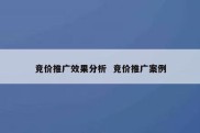 竞价推广效果分析  竞价推广案例