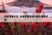 抖音获客引流  抖音获客引流小程序是真的吗