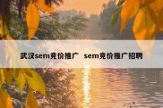 武汉sem竞价推广  sem竞价推广招聘