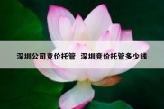 深圳公司竞价托管  深圳竞价托管多少钱