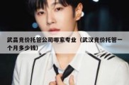 武昌竞价托管公司哪家专业（武汉竞价托管一个月多少钱）