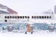 安徽竞价托管哪家专业  竞价托管服务多少钱