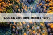 衡水抖音代运营公司价格（邯郸抖音代运营）